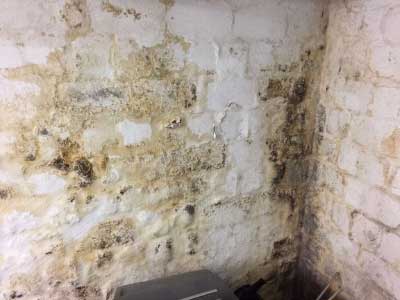 Home 3 Feuchte Wände & Querdurchfeuchtung im Keller.